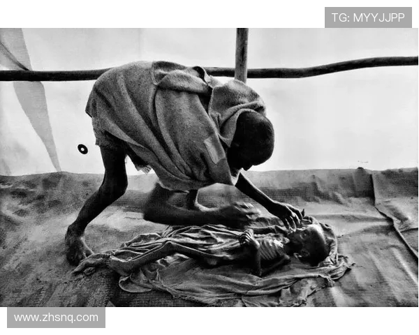 圣荷西地震与革命的交汇点:历史变迁中的社会动荡与人性考验 圣荷西地震与革命的交汇点:历史变迁中的社会动荡与人性考验